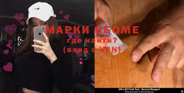 шишки Белоозёрский