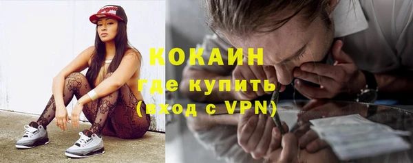шишки Белоозёрский
