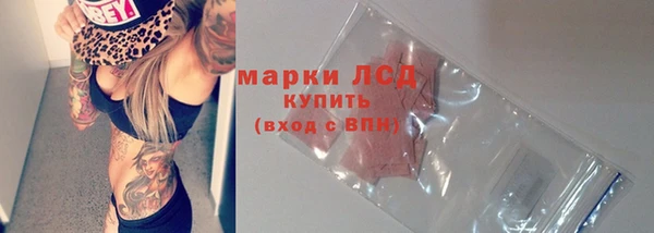 шишки Белоозёрский