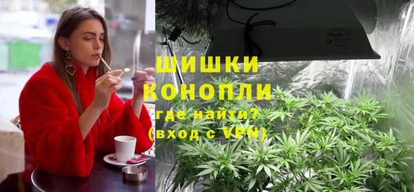 шишки Белоозёрский
