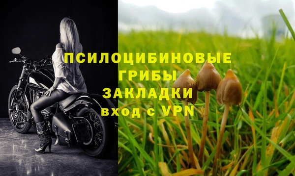 не бодяженный Балахна