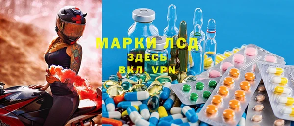 шишки Белоозёрский