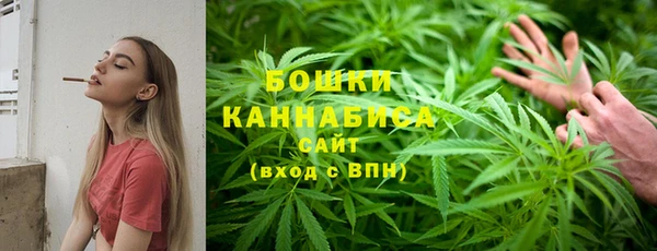 шишки Белоозёрский
