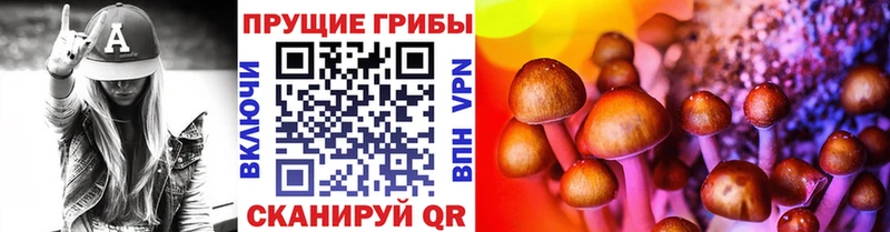 МЕГА ссылка  Ясногорск  Галлюциногенные грибы Psilocybe  закладки 